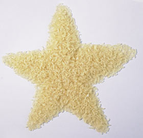 强化营养米